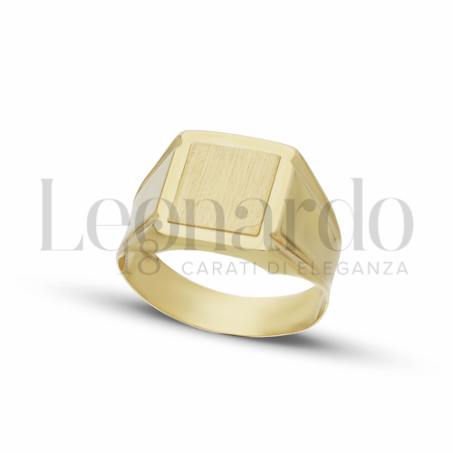 Anelli Anello a scudo rettangolare da Uomo in Oro 18 Carati Modello: Rettangolo Finitura o misura: Satinata Misura anello: 28 3g