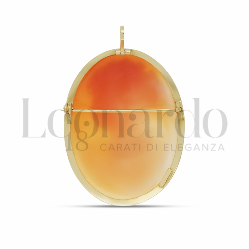 NC00OG08CAAPL